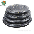 Food grade disposable plastic big sushi serving tray